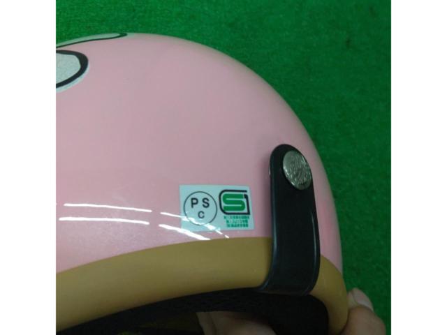 DAMMTRAX Jet Helmet FLOWER
JET