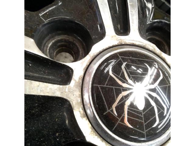 【MARUKA SERVICE】MANARAY SPORT EUROSPEED SPIDER X