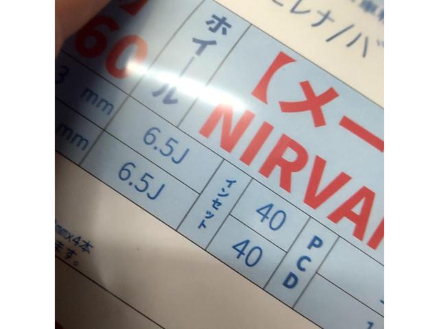 NIRVANA LEON