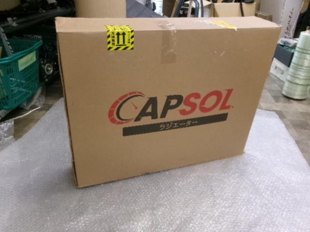 CAPSOL
Radiator