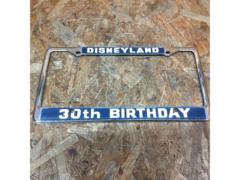 DISNEYLAND(ディズニー)30th BIRTHDAY記念ナンバーフレーム 1枚のみ