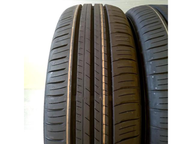 【DUNLOP】ENASAVE EC300+