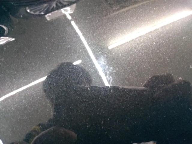 Toyota genuine
Bonnet