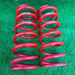 RS-R(アールエスアール)Ti2000 直巻バネ レッド 2本SET