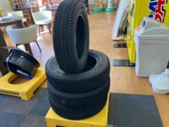 BRIDGESTONE BLIZZAK
DM-V3