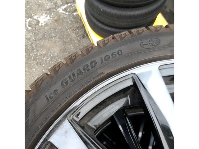 DIANELLA 10本スポークアルミホイール+YOKOHAMA iceGUARD iG60 2023モデル
