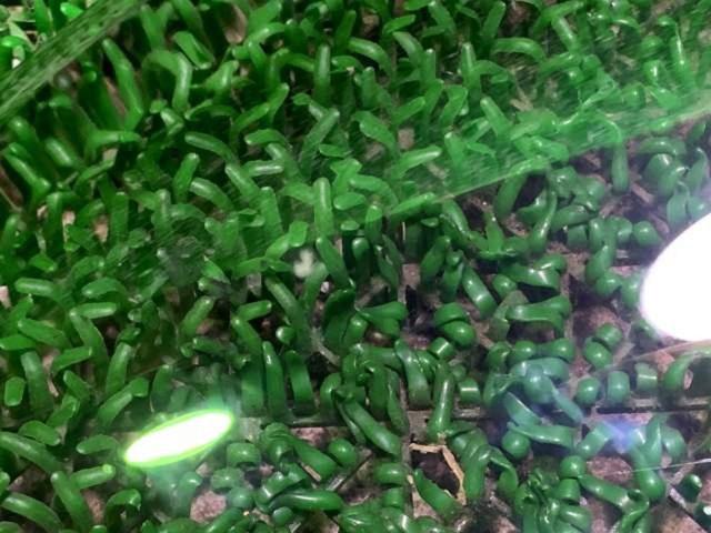 TAKE OFF ZC33S/スイスポ用ヘッドライトカバー 左右セット