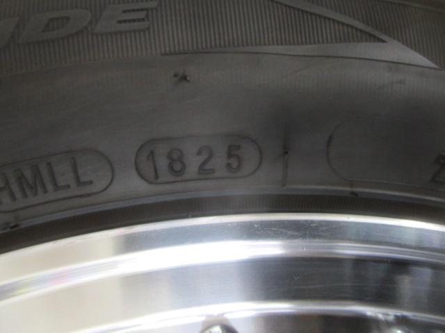 AME STEINER FTX + ROADSTONE EUROVIS sport04(2025年製造)