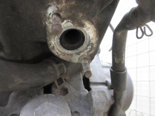 ワケアリ HONDA ズーマー純正エンジン