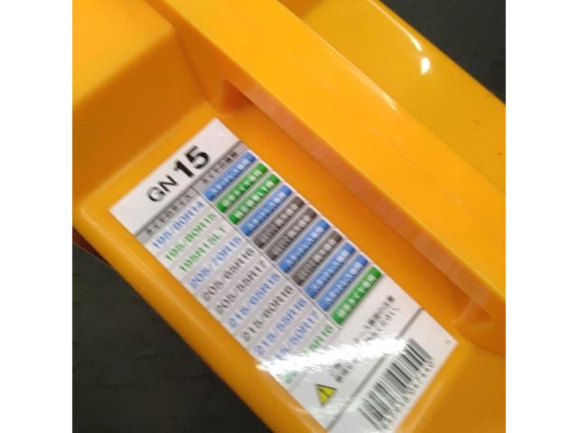 NETGEAR GIRARE GN15