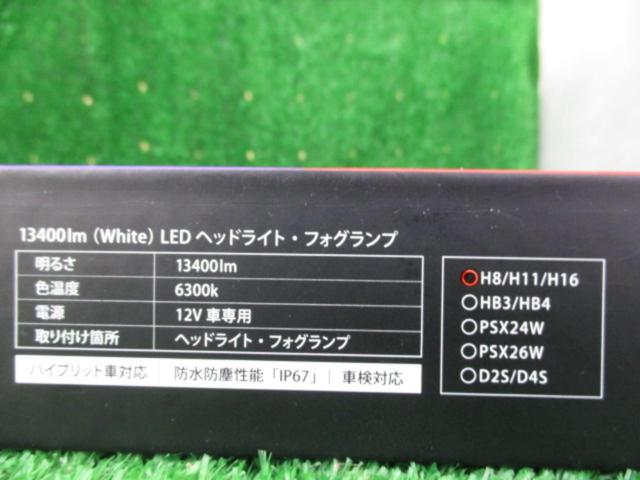 VELENO MORTALE LEDバルブ