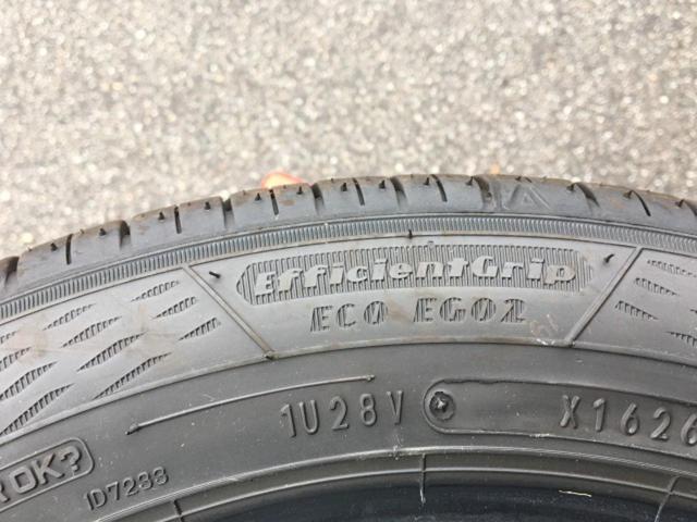 GOODYEAR Effcient Grip ECO EG02