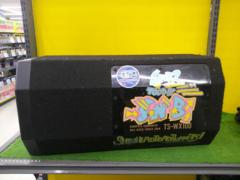 carrozzeria TS-WX100
