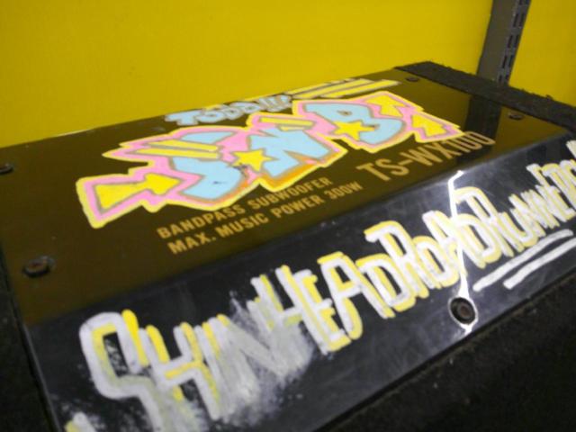 carrozzeria TS-WX100