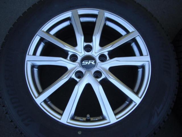 BRIDGESTONE BLIZZAK DM-V3 + Lehrmeister STRANGER SR