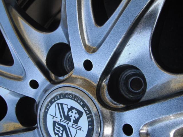 TOYO Winter TRANPATH TX + BIG WAY TRG-BAHN