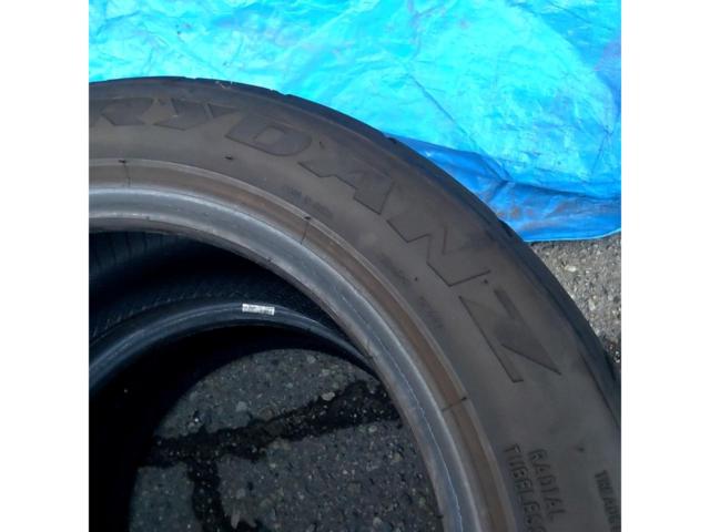 【SHIBATIRE】RYDANZ REVIMAX R23 205/50R15 2025 2本セット