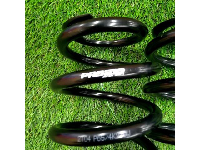tanabe 【ID65/210mm/4K】Pro210 リアスプリング