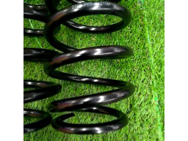 tanabe 【ID65/210mm/4K】Pro210 リアスプリング