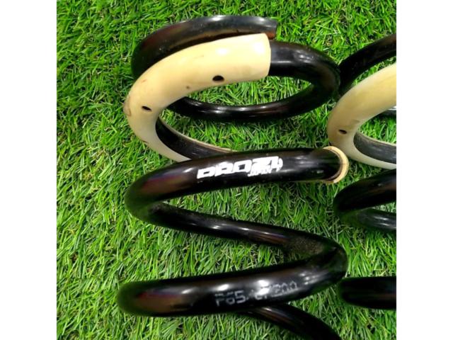 tanabe 【ID65/210mm/4K】Pro210 直巻きスプリング