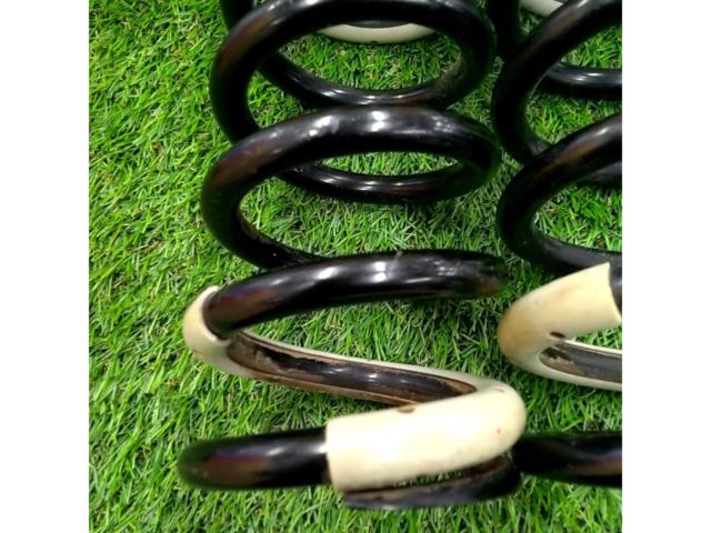 tanabe 【ID65/210mm/4K】Pro210 直巻きスプリング