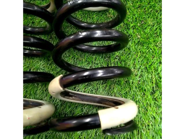 tanabe 【ID65/210mm/4K】Pro210 直巻きスプリング