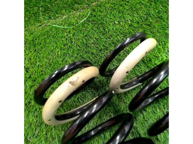 tanabe 【ID65/210mm/4K】Pro210 直巻きスプリング