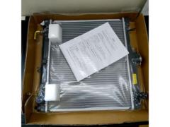 CAPSOL radiator