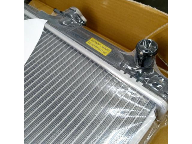CAPSOL radiator