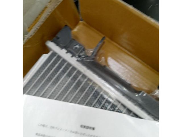 CAPSOL radiator