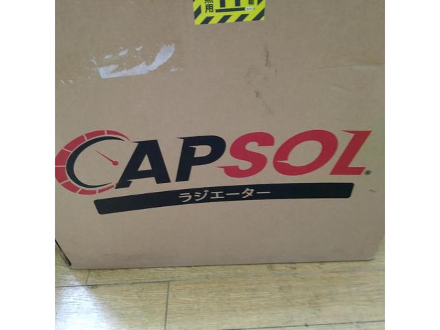 CAPSOL radiator