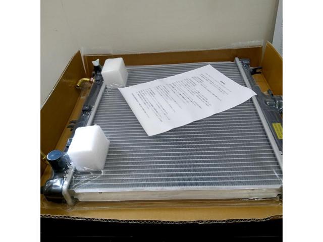 CAPSOL radiator