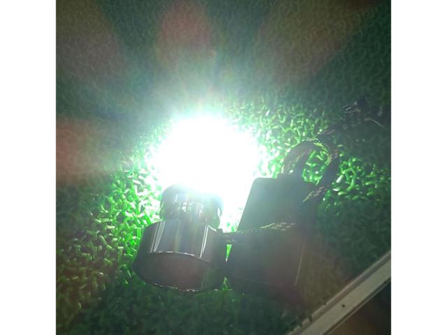 HID屋 LEDバルブ LHB1106B H8/11/16 ホワイト