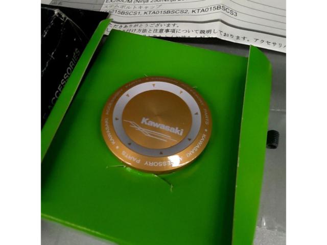 KAWASAKI Stem Bolt Cap
Ninja250 / EX250L
