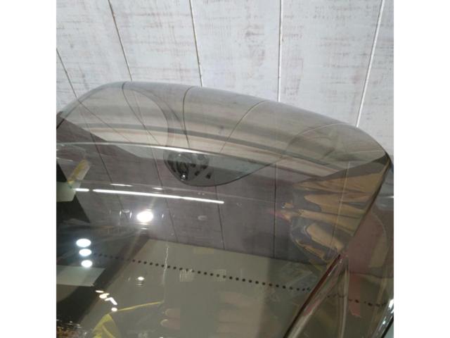 OGK (Aussie cable)
[SAJ-3]
Mirror Shield (Gold Mirror)