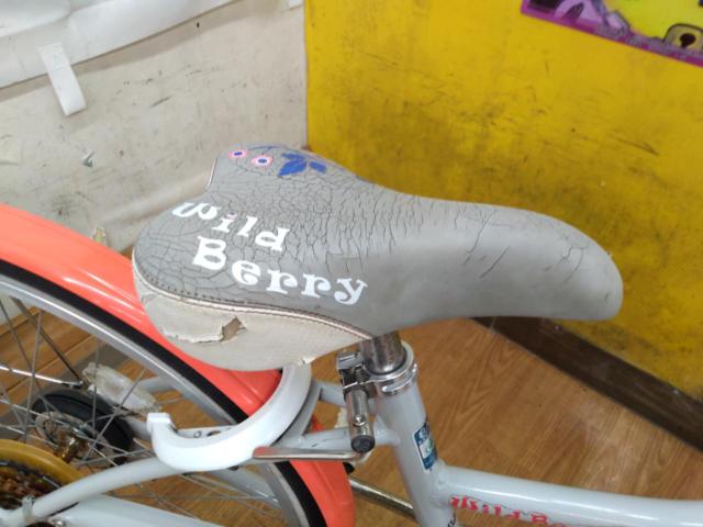 BRIDGESTONE WILD BERRY 24インチ 外装6段変速 キッズ自転車 グレー