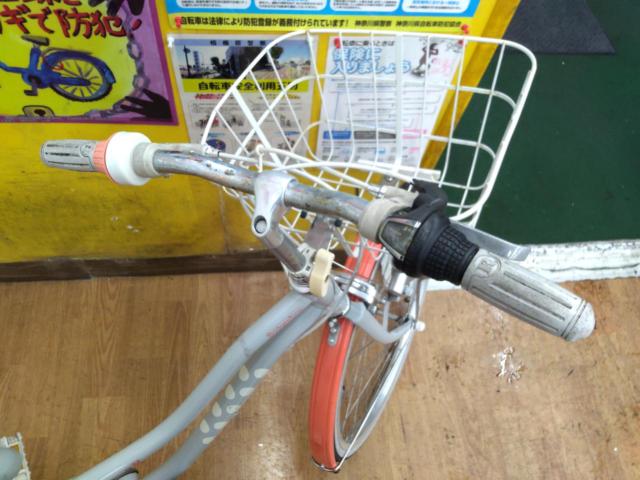 BRIDGESTONE WILD BERRY 24インチ 外装6段変速 キッズ自転車 グレー