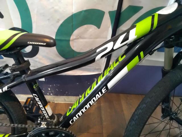 CANNONDALE TRAIL 24x1.95インチ 3-7s キッズ自転車 ブラックグリーン