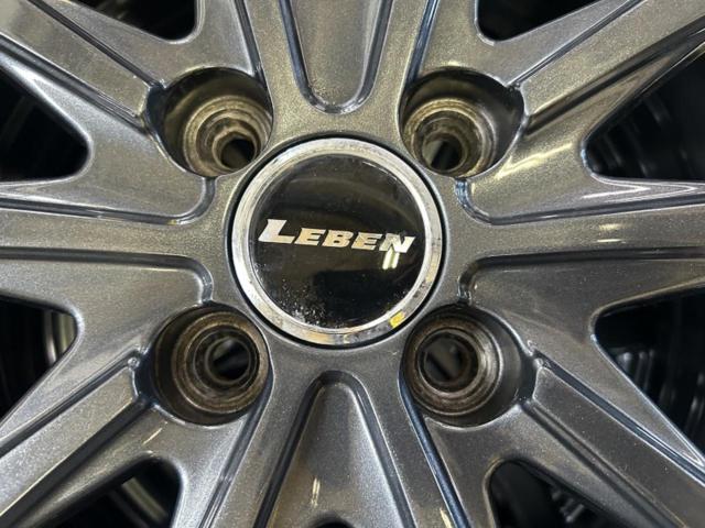 LEBEN + AUTOBACS NorthTreK N5