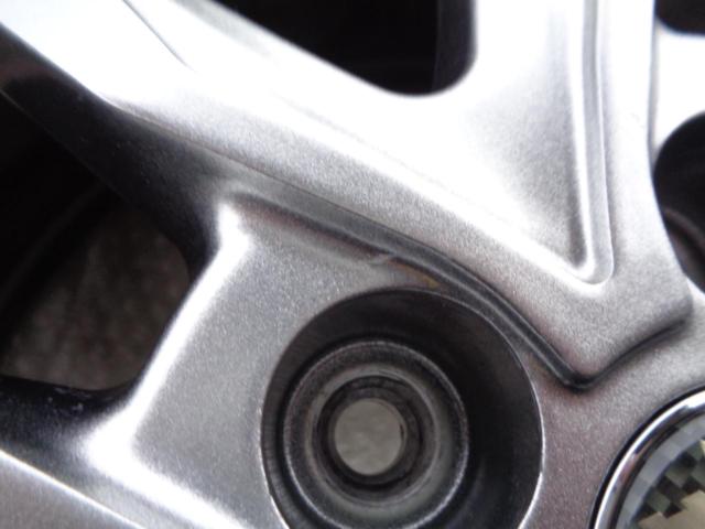 Lehrmeister(レアマイスター)  SR 10本スポーク