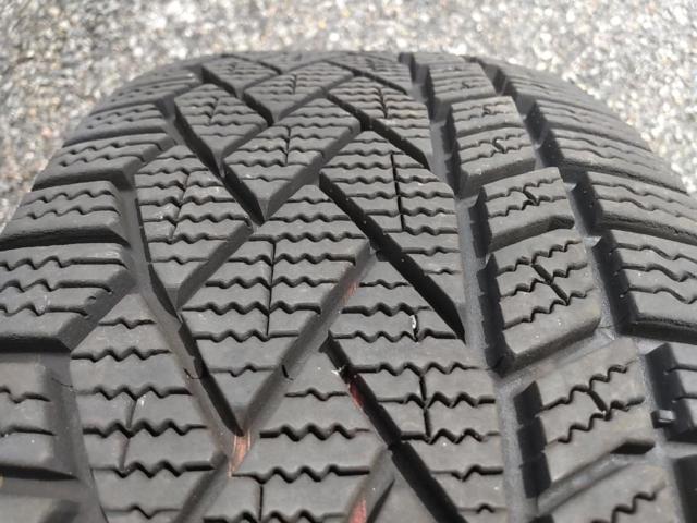 KYOHO PREDICT ツイン6本スポークホイール + Continental North Contact NC7