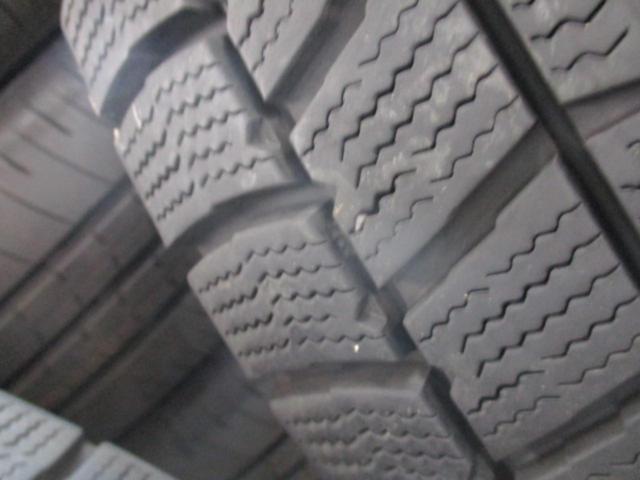 SPORT VENAD + AUTOBACS North Trek N5