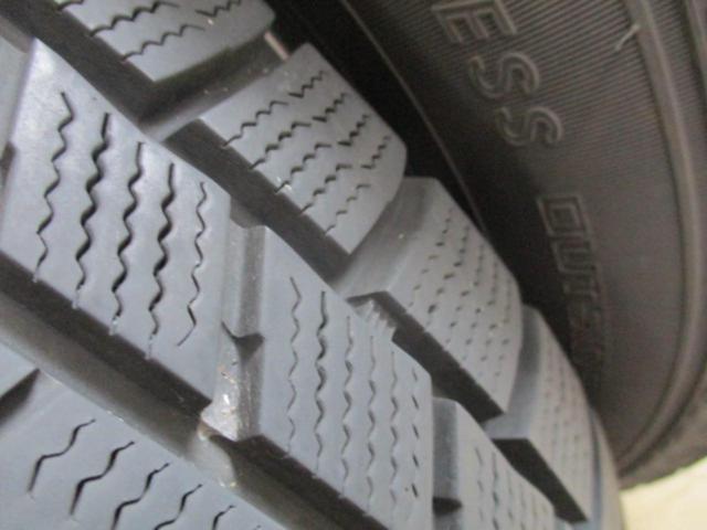SPORT VENAD + AUTOBACS North Trek N5
