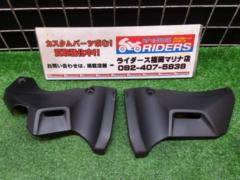 KAWASAKI genuine front frame cover
Right and left
Remove Z900RS ('18)