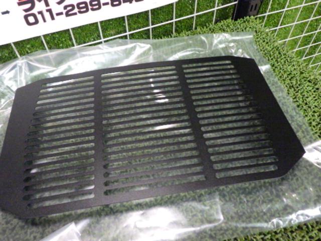 Peitzmeier Company Radiator Guard
Triumph
Trident 660
660
(-'twenty five)
