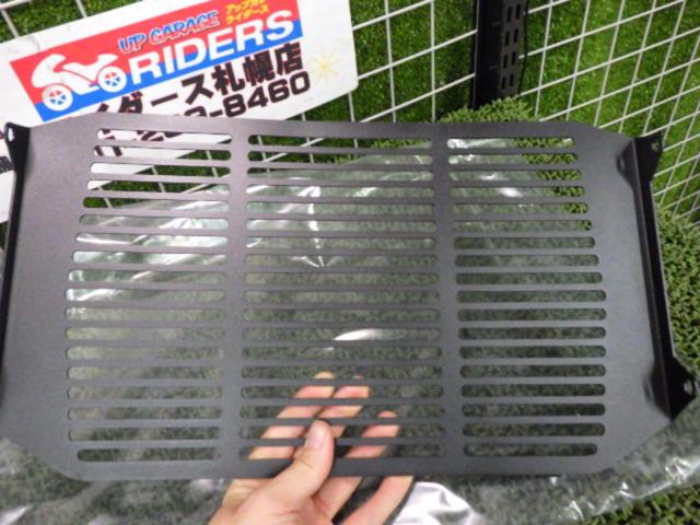 Peitzmeier Company Radiator Guard
Triumph
Trident 660
660
(-'twenty five)