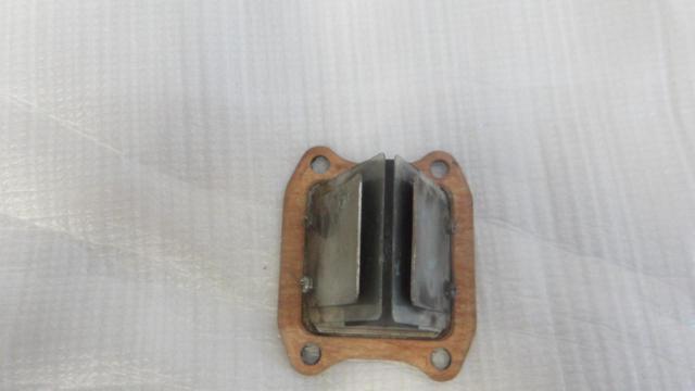 CR80
Reed valve