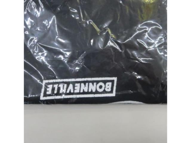 メーカー不明 トライアンフ Tシャツ サイズM