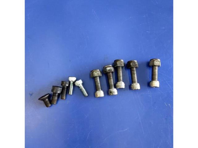 Kuryakyn Air Cleaner Kit
Removing the bolt (early model)
