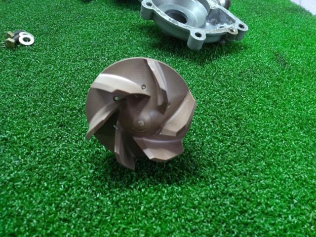 10DUCATI モンスター純正ウォーターポンプカバー